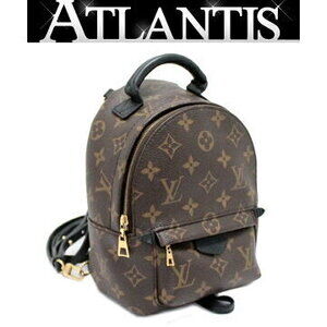 Louis Vuitton Palm Springs Monogram Backpack